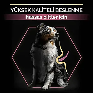 Pro Plan Medium Adult Sensitive Skin Somonlu Orta Irk Yetişkin Köpek Maması 10 kg - 4