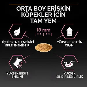 Pro Plan Medium Adult Sensitive Skin Somonlu Orta Irk Yetişkin Köpek Maması 10 kg - 5