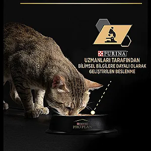 Pro Plan Jöle İçinde Okyanus Balıklı Kısırlaştırılmış Kedi Konservesi 85 g - 4