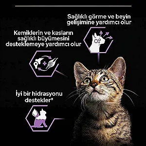 Pro Plan Baby Kitten Tavuklu Ezme Yavru Kedi Konservesi 85 g - 3