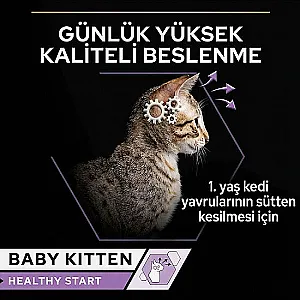 Pro Plan Baby Kitten Tavuklu Ezme Yavru Kedi Konservesi 85 g - 4
