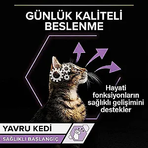 Pro Plan Junior Tavuklu Ezme Yavru Kedi Konservesi 4x85 g (4 Al 3 Öde) - 4