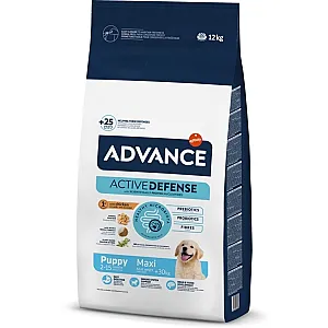 Advance Dog Puppy Protect Maxi Tavuklu ve Pirinçli Büyük Irk Yavru Köpek Maması 12 Kg