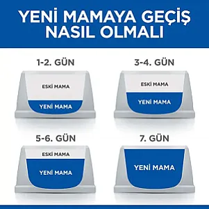 Hill's Science Plan Kitten Somonlu Yavru Kedi Maması - 4