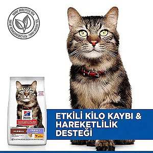 Hill's Science Plan Hairball & Perfect Coat Tüy Yumağı Kontrol Tavuklu Kedi Maması 1,5 kg - 3