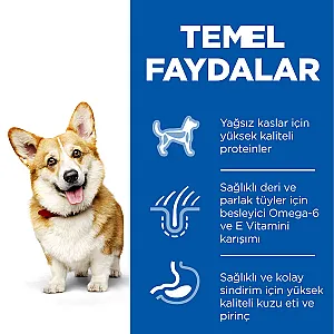 Hill's Science Plan Small & Mini Adult Kuzulu Küçük Irk Köpek Maması - 4