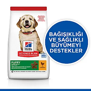 Hill's Science Plan Puppy Large Breed Tavuklu Büyük Irk Yavru Köpek Maması - 3