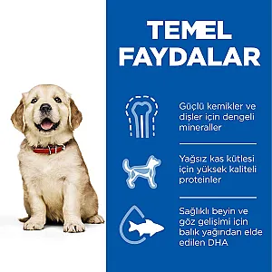 Hill's Science Plan Puppy Large Breed Tavuklu Büyük Irk Yavru Köpek Maması - 5