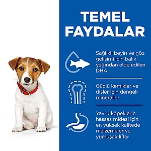 Hill's Science Plan Small & Mini Puppy Tavuklu Küçük Irk Yavru Köpek Maması - 4