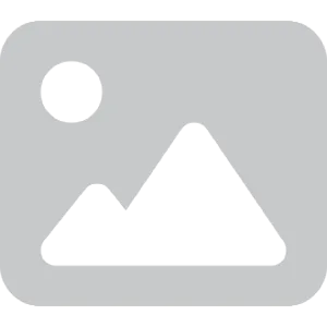 Purina Friskies Biftekli ve Havuçlu Köpek Yaş Maması 4 x 85 g - 2