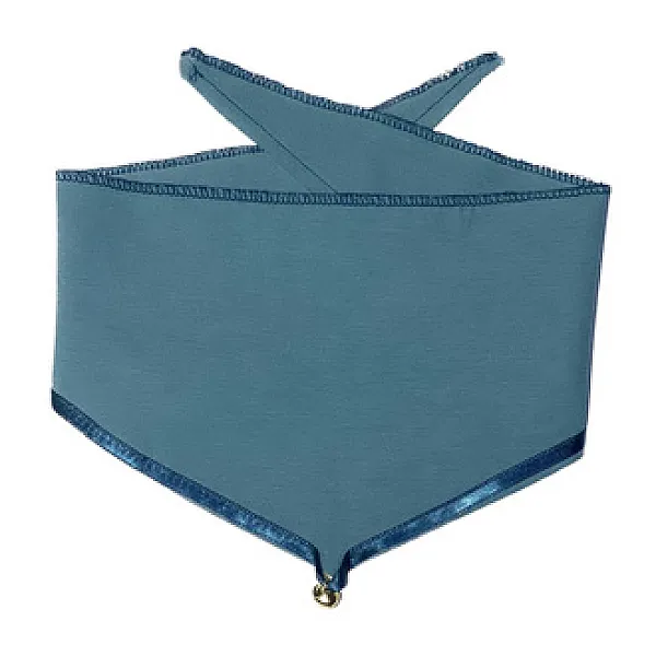 KFG Köpek Uları Koku Önleyici Boyun Tasması L-XL