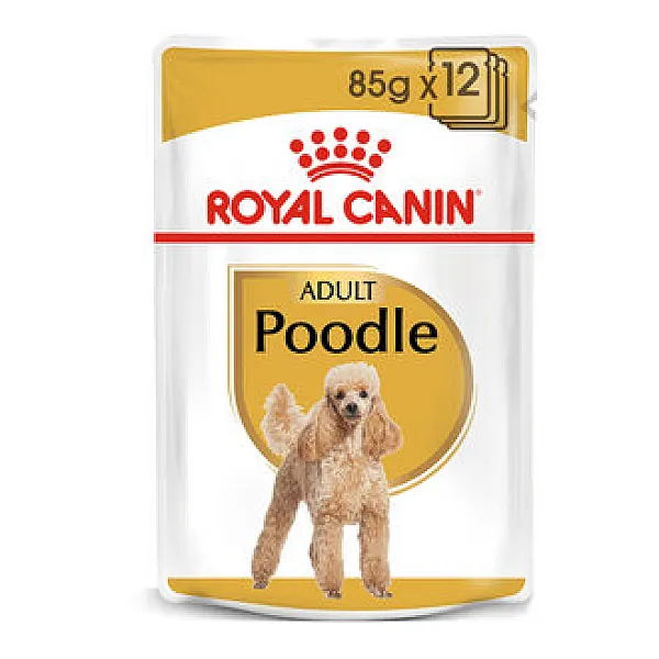 Royal Canin Poodle Yetişkin Köpek Maması 12 x 85 g