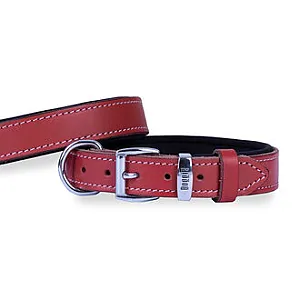Doggie Konfor Kırmızı Deri Köpek Boyun Tasması 3 x 42-50 cm - 1
