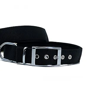 Doggie Köpek Boyun Tasması Siyah 3 x 42-50 cm - 1