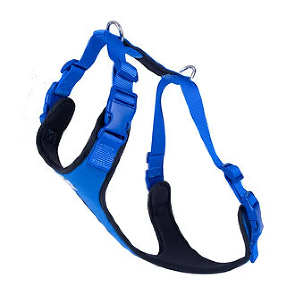 Doggie Havali Püsküllü Köpek Tasması Mavi 25 x 65-75 cm