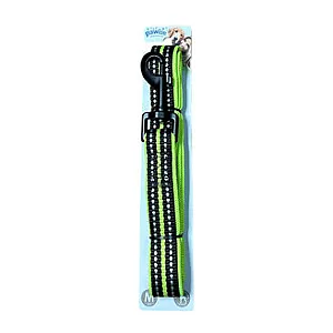 Pawise Köpek Tasması 20 mm 120 cm