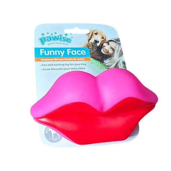 Pawise Köpek Yuvarlak Vinyl Oyuncağı