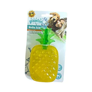 Pawise Köpek Oyuncağı Tropikal Ananas 250g