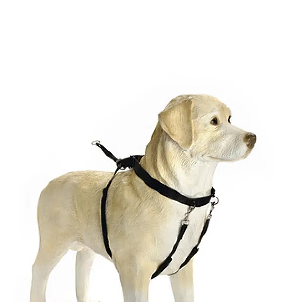 Beeztees Köpek Yürüyüş Eğitim Düzeltme Tasması - 1 Adet