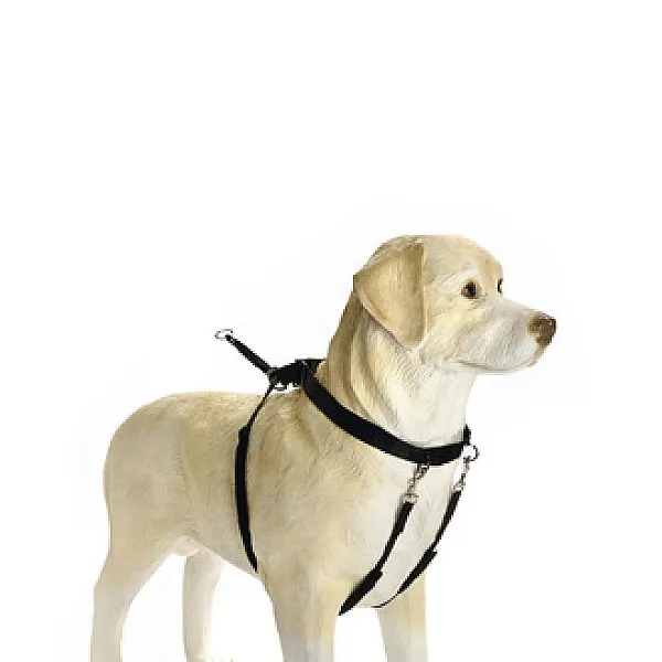 Beeztees Köpek Yürüyüş ve Eğitim Düzeltme Tasması