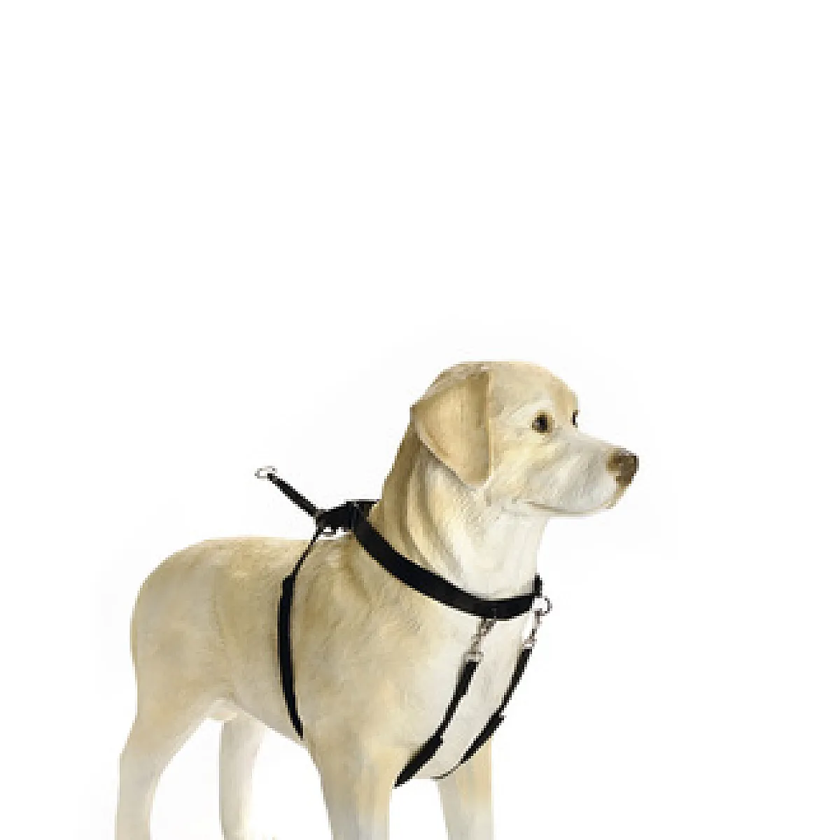 Beeztees Köpek Yürüyüş Eğitim Düzeltme Tasması