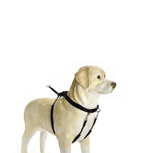 Beeztees Köpek Yürüyüş Eğitim Düzeltme Tasması