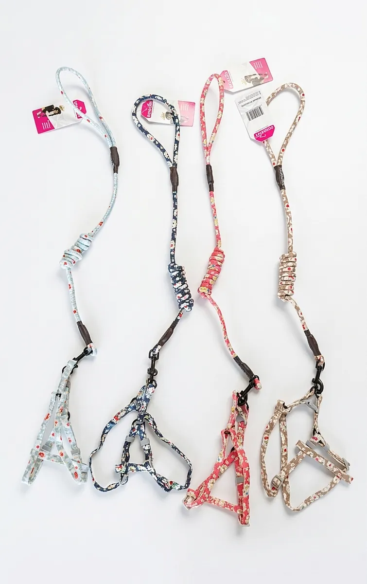 ROYALIST Köpek Göğüs Takımı 6mm x 1200mm