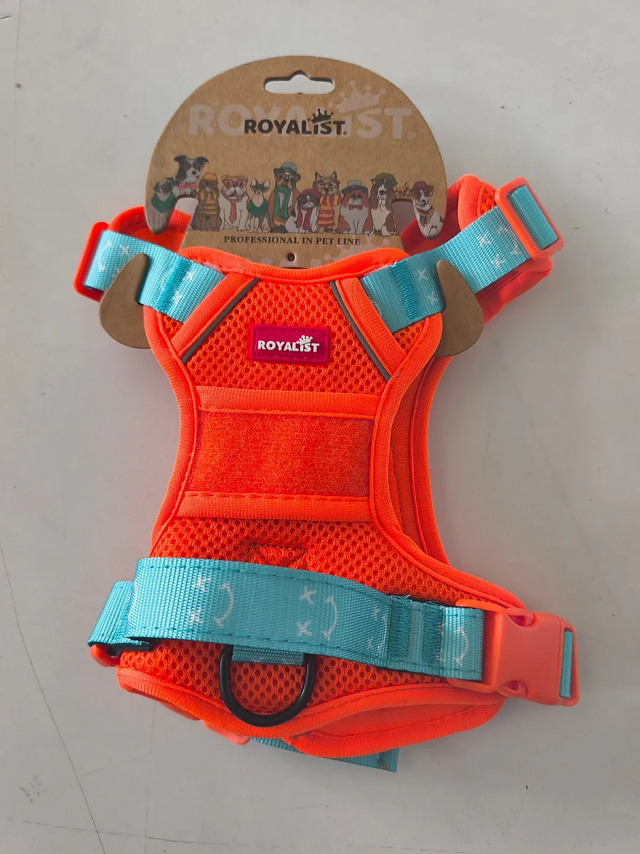 ROYALIST Köpek Mesh Tasma - Küçük
