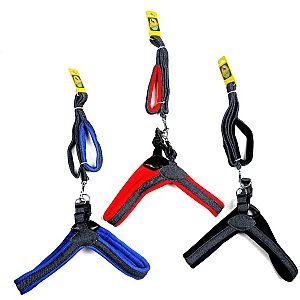 ROYALIST Köpek Göğüs Takımı ve Gezdirme Seti 2 cm x 120 cm ürün görseli