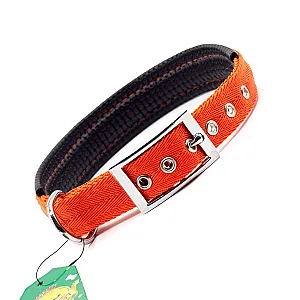 ROYALIST Yumuşak Dokulu Köpek Tasması - 25 mm x 58 cm