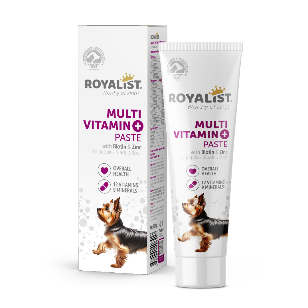 ROYALIST Köpek Çok Vitaminli Macunu 100 gr