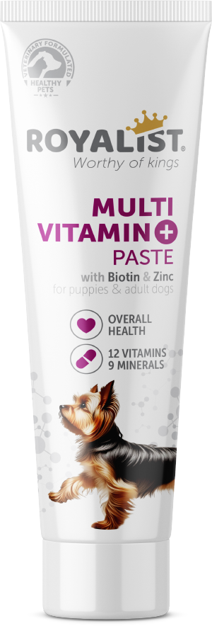 ROYALIST Köpek Çok Vitaminli Macunu 100 gr - 2