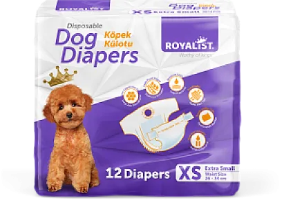 Royalist Sızdırmaz Köpek Külotu XS (Extra Small) 12'li - 1