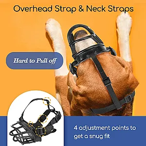 ROYALIST Silikon Ağızlık No: 5 Köpek Aksesuarı - 2