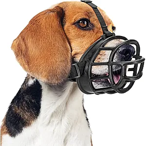 ROYALIST Silikon Ağızlık No: 5 Köpek Aksesuarı - 3