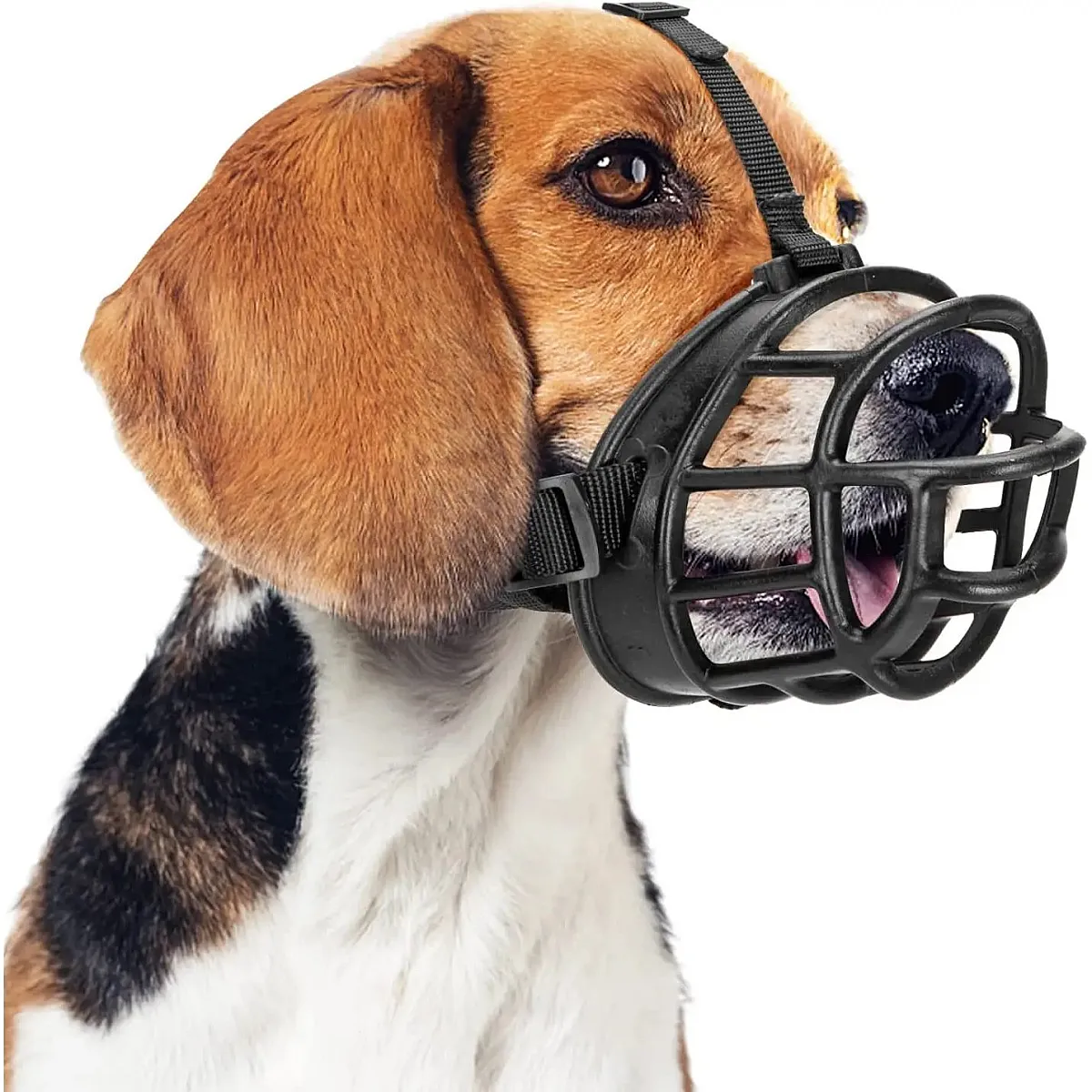 ROYALIST Köpek Silikon Ağızlık No: 2