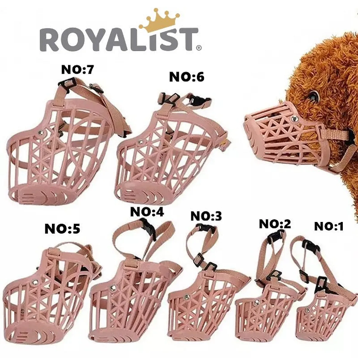 ROYALIST Köpek Ağızlık - No.3