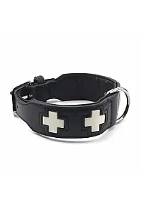 ROYALIST Köpek Deri Boyun Tasması 4 cm 70 - 3