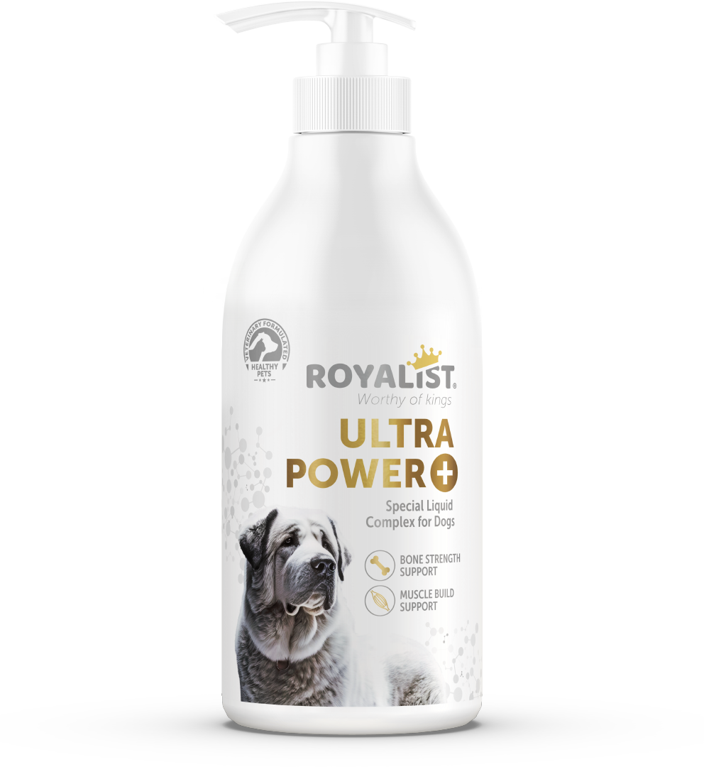 ROYALIST Köpek Ultra Power Kemik ve Kas Güçlendirici 500 ml