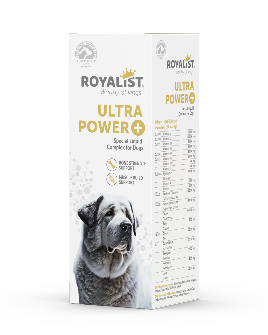 ROYALIST Köpek Ultra Power Kemik ve Kas Güçlendirici 500 ml - 2