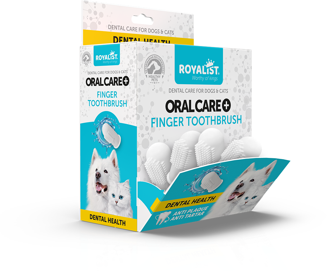 ROYALIST Köpek Diş Fırçası 30 Adet
