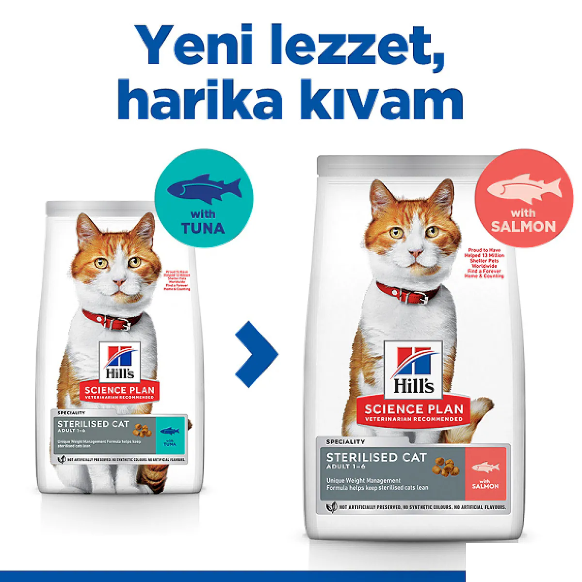 Hill's Science Plan Somonlu Kısırlaştırılmış Yetişkin Kedi Maması 3 kg