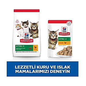Hill's Science Plan Yavru Kedi Maması Tavuk 1,5kg - 5