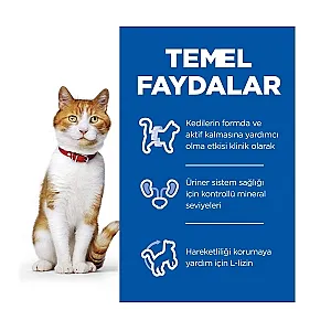 Hill's Science Plan Kısırlaştırılmış Kedi Maması Tavuklu 1,5 kg - 3