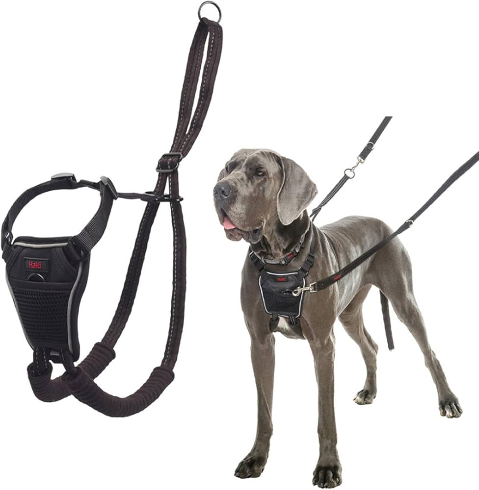 Köpek Tasması