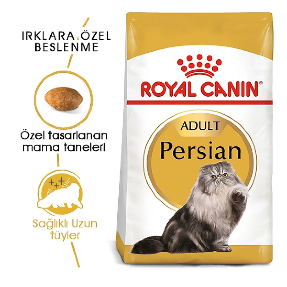 Royal Canin Iran Kedisi için Kuru Kedi Maması 2 kg