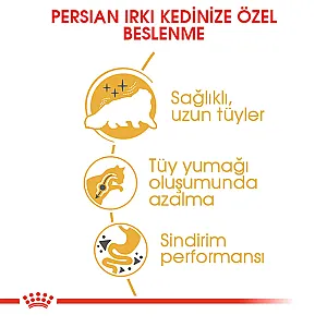 Royal Canin Iran Kedisi için Kuru Kedi Maması 2 kg - 2