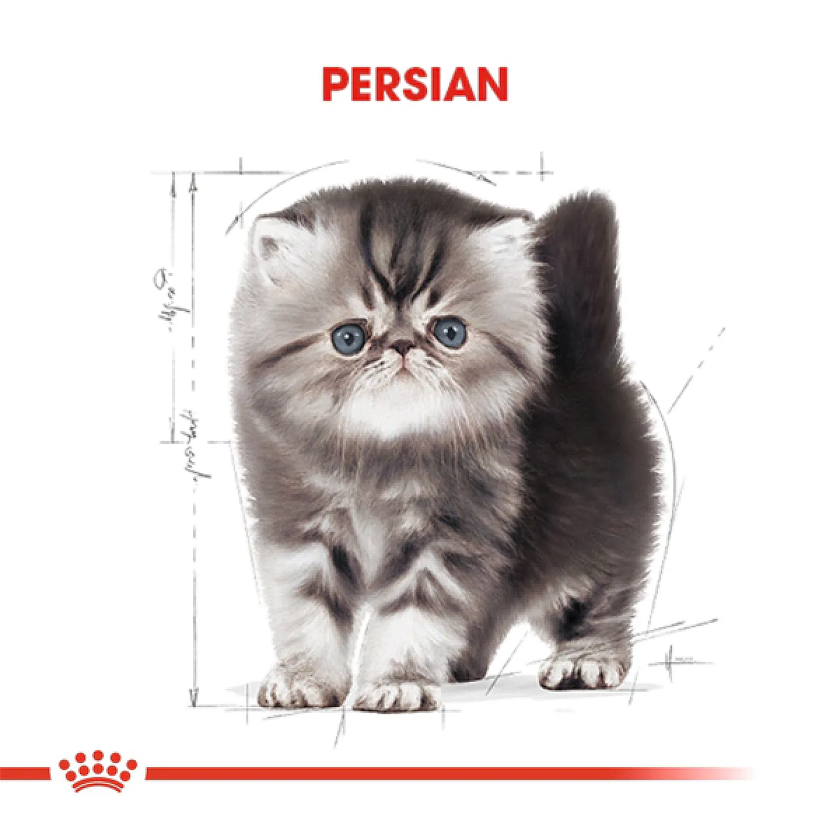 Royal Canin Iran Kedisi Yavru Kedi Maması 2 kg