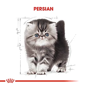 Royal Canin Iran Kedisi Yavru Kedi Maması 2 kg - 1