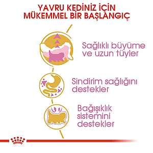 Royal Canin Iran Kedisi Yavru Kedi Maması 2 kg - 2